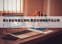 黄石有区块链公司吗[黄石市有哪些平台公司]