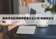 美国硅谷区块链项目是什么公司[美国硅谷全称]